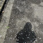 Moga Mogami Instagram - 春🌸 別れと出会いの季節 私のインスタ見てる人は20代後半とか30代が多そうだけど 新生活なんて人も結構いるのかなー。 転勤とか再就職とかも色々あるよね。 私環境は何も変わってないけど、笑 一つ区切りがついたから新たな気持ちになってる！ ファンの方との関係も、家族も、友人も なんだかんだ、一方的な思いだけでは疲れてしまうってことがわかった。 応援してくれてるみんながいる限り 出来る範囲で表に立って仕事を続けたいなって思うし 少しでも私の人生に関わってくれてることが あなたの私生活に彩りを与えたり 元気づけたり明るくできたらいいなって思う☺️ 新年度、期待することをなくすようコントロールしていきたい。 もしだめだったとしても、悲しまないで なるべく、自分で自分をがっかりさせないように。