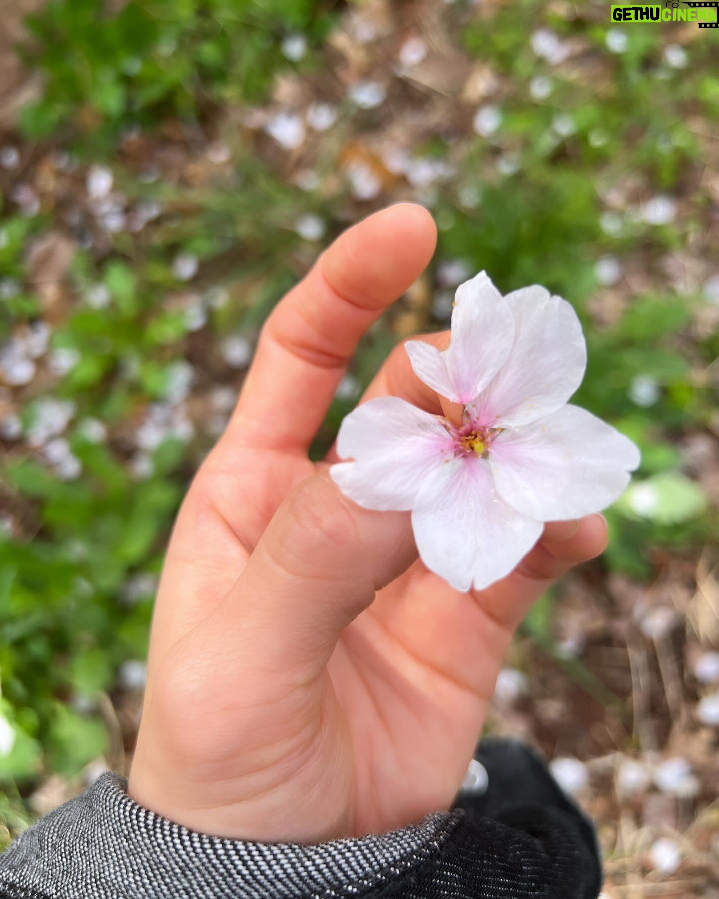 Moga Mogami Instagram - æĨđ¸ åĨãã¨åēäŧããŽåŖį¯ į§ãŽã¤ãŗãšãŋčĻãĻãäēēã¯20äģŖåžåã¨ã30äģŖãå¤ããã ã㊠æ°įæ´ģãĒããĻäēēãįĩæ§ãããŽããĒãŧã čģĸå¤ã¨ãåå°ąčˇã¨ããč˛ã
ããããã į§į°åĸã¯äŊãå¤ããŖãĻãĒãããŠãįŦ ä¸ã¤åēåããã¤ããããæ°ããĒæ°æãĄãĢãĒãŖãĻãīŧ ããĄãŗãŽæšã¨ãŽéĸäŋããåŽļæããåäēēã ãĒãã ããã ã䏿šįãĒæãã ãã§ã¯į˛ããĻããžããŖãĻãã¨ããããŖãã åŋæ´ããĻãããĻããŋããĒãããéã åēæĨãį¯å˛ã§čĄ¨ãĢįĢãŖãĻäģäēãįļããããĒãŖãĻæãã å°ãã§ãį§ãŽäēēįãĢéĸããŖãĻãããĻããã¨ã ããĒããŽį§įæ´ģãĢåŊŠããä¸ããã å
æ°ãĨãããæããã§ããããããĒãŖãĻæãâēī¸ æ°åš´åēĻãæåž
ãããã¨ããĒãããããŗãŗãããŧãĢããĻããããã ããã ãã ãŖãã¨ããĻããæ˛ããžãĒãã§ ãĒããšããčĒåã§čĒåãããŖãããããĒããããĢã