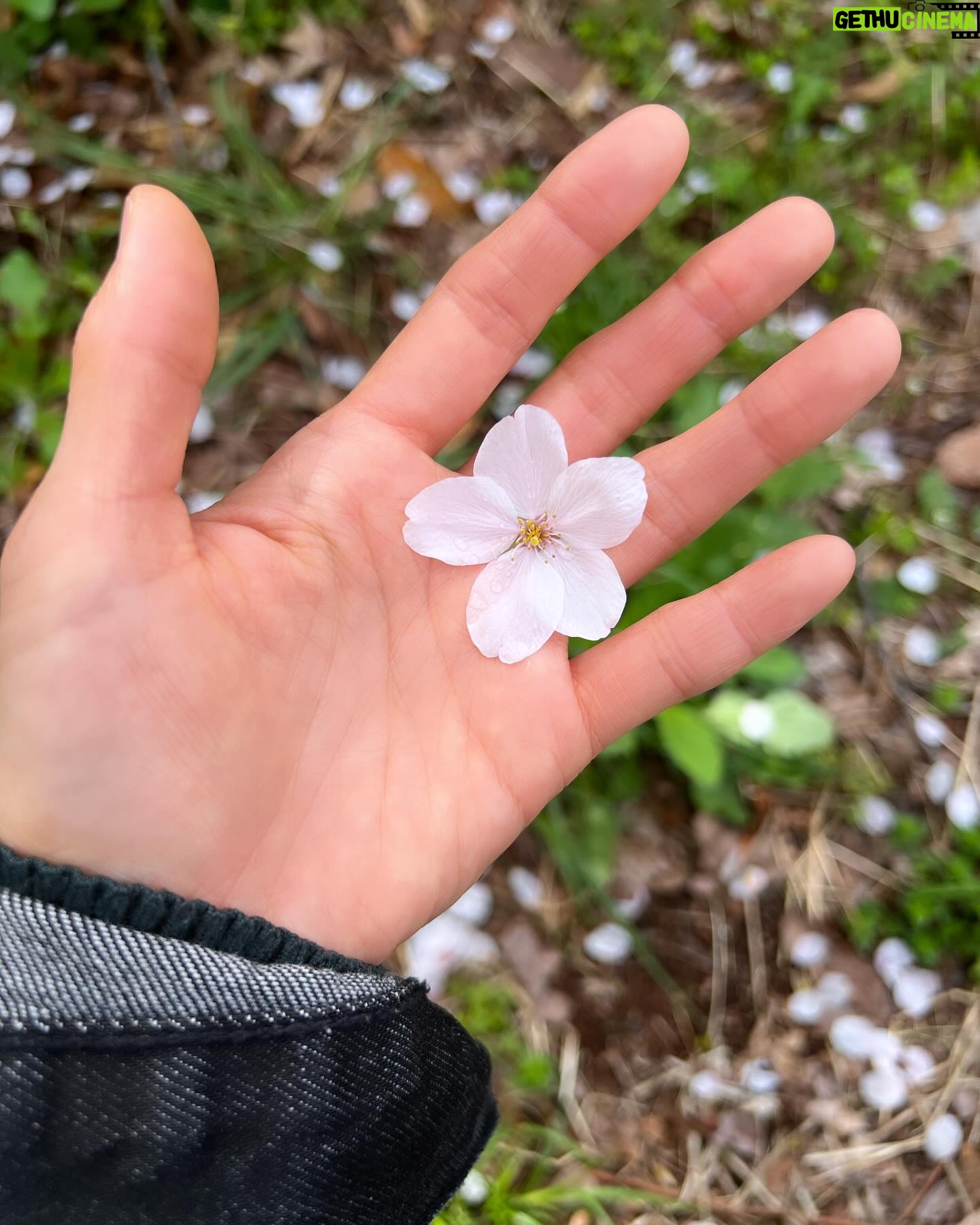 Moga Mogami Instagram - æĨđ¸ åĨãã¨åēäŧããŽåŖį¯ į§ãŽã¤ãŗãšãŋčĻãĻãäēēã¯20äģŖåžåã¨ã30äģŖãå¤ããã ã㊠æ°įæ´ģãĒããĻäēēãįĩæ§ãããŽããĒãŧã čģĸå¤ã¨ãåå°ąčˇã¨ããč˛ã
ããããã į§į°åĸã¯äŊãå¤ããŖãĻãĒãããŠãįŦ ä¸ã¤åēåããã¤ããããæ°ããĒæ°æãĄãĢãĒãŖãĻãīŧ ããĄãŗãŽæšã¨ãŽéĸäŋããåŽļæããåäēēã ãĒãã ããã ã䏿šįãĒæãã ãã§ã¯į˛ããĻããžããŖãĻãã¨ããããŖãã åŋæ´ããĻãããĻããŋããĒãããéã åēæĨãį¯å˛ã§čĄ¨ãĢįĢãŖãĻäģäēãįļããããĒãŖãĻæãã å°ãã§ãį§ãŽäēēįãĢéĸããŖãĻãããĻããã¨ã ããĒããŽį§įæ´ģãĢåŊŠããä¸ããã å
æ°ãĨãããæããã§ããããããĒãŖãĻæãâēī¸ æ°åš´åēĻãæåž
ãããã¨ããĒãããããŗãŗãããŧãĢããĻããããã ããã ãã ãŖãã¨ããĻããæ˛ããžãĒãã§ ãĒããšããčĒåã§čĒåãããŖãããããĒããããĢã