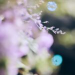 Moga Mogami Instagram – 私がよく「言葉にして伝えてくれると嬉しい」って言うのは
それをしなければいけない、とか無理強いしたい訳じゃなく

もしどんなに好きでいてくれても
それって言葉にしないと１ミリも伝わらないから
もし伝わって欲しいと思ってくれているのなら
伝えてくれないとわからないよーってことでした！

自分の気持ちは隠したいとか
伝わらなくていいって思うのならそのままで大丈夫です！
応援の仕方というのは人それぞれやりたいように、が大前提だと思うんです。
だから私はそこに関して気にしないから
伝えないから申し訳ないなんて思わないで欲しいです🙏

こうしてくれたら嬉しいな、ってことは
それをしなかったからといって恨むとか嫌になる訳じゃないので☺️

察するのって友だちや家族でさえ難しいし
相手の意思とは逆に思い込んで
悪い方向に考えてしまったりしますしね。

なので私はしつこいと思われようと
「全部読んでるよ」というのと
「いつもありがとう」は伝えていきます！