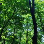 Moga Mogami Instagram - 🌱🌼🌲