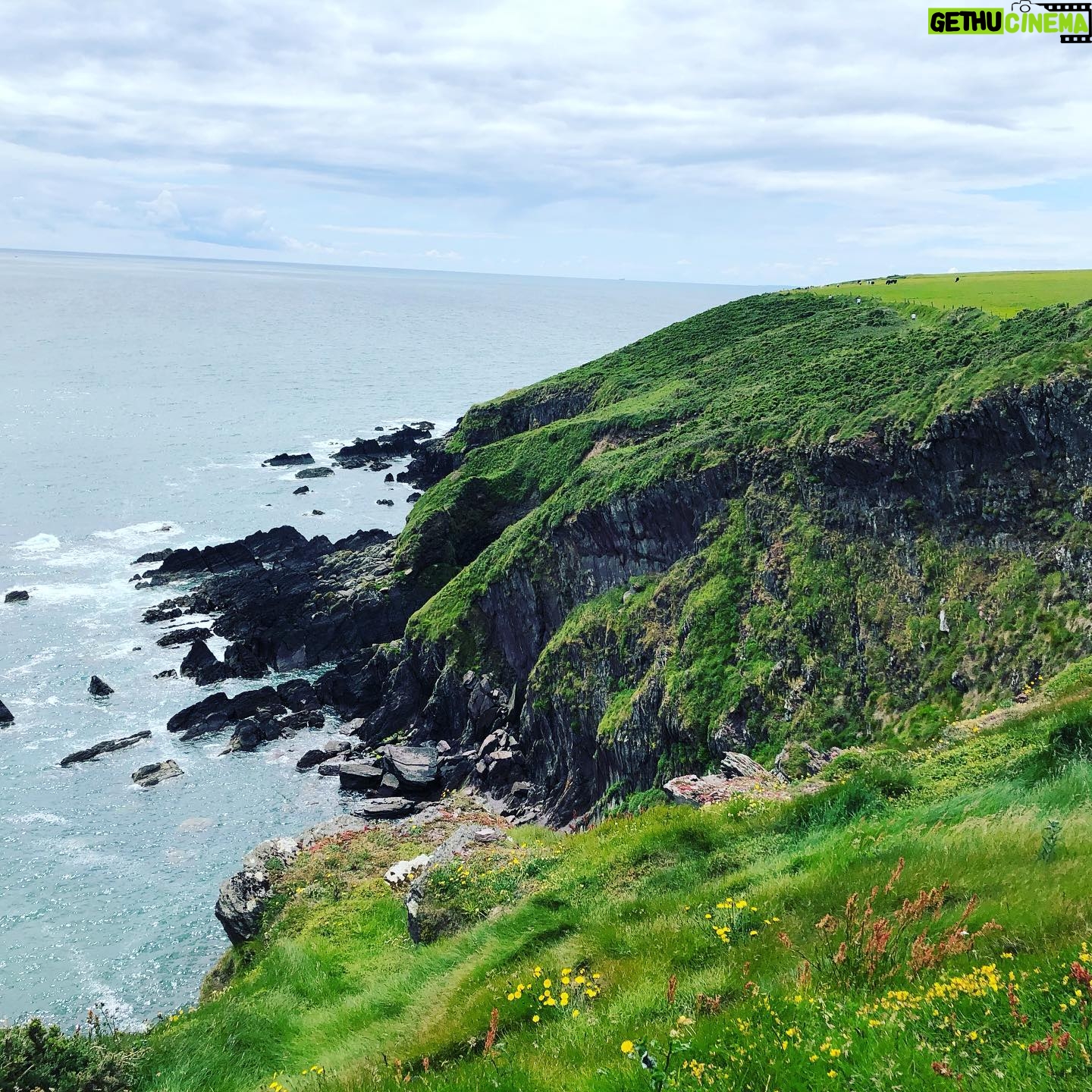 Molly Ephraim - 3.1K Likes - Ireland was beautiful and also my brother touched an electric fence.