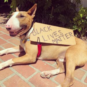 Molly Ephraim Instagram - 🌈✊🏿🐾✊🏾🐾✊🏽🐾✊🏼🐾✊🏻🐾🌈