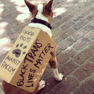Molly Ephraim Instagram - 🌈✊🏿🐾✊🏾🐾✊🏽🐾✊🏼🐾✊🏻🐾🌈