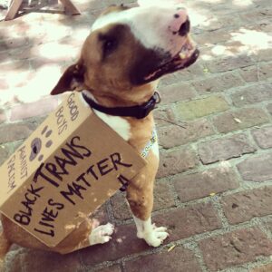 Molly Ephraim Instagram - 🌈✊🏿🐾✊🏾🐾✊🏽🐾✊🏼🐾✊🏻🐾🌈