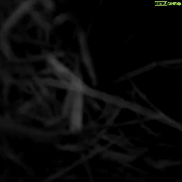 Molly Ephraim - 3.2K Likes - PARANORMAL ACTIVITY 12: COYOTE UGLY EDITION featuring a pack of coyotes that have taken over the yard, stole the camera I set up to catch them in the act... and then hid it beyond my property’s fence. (Yes, I found it, after poking around forever.) OH. And also they’re demons. @blumhouse— you guys in?