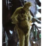 Molly Bernard Instagram – Shadow Bump; or Jim Carrey in How The Grinch Stole Christmas