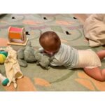 Molly Bernard Instagram - 🌱🤸‍♂️🛼