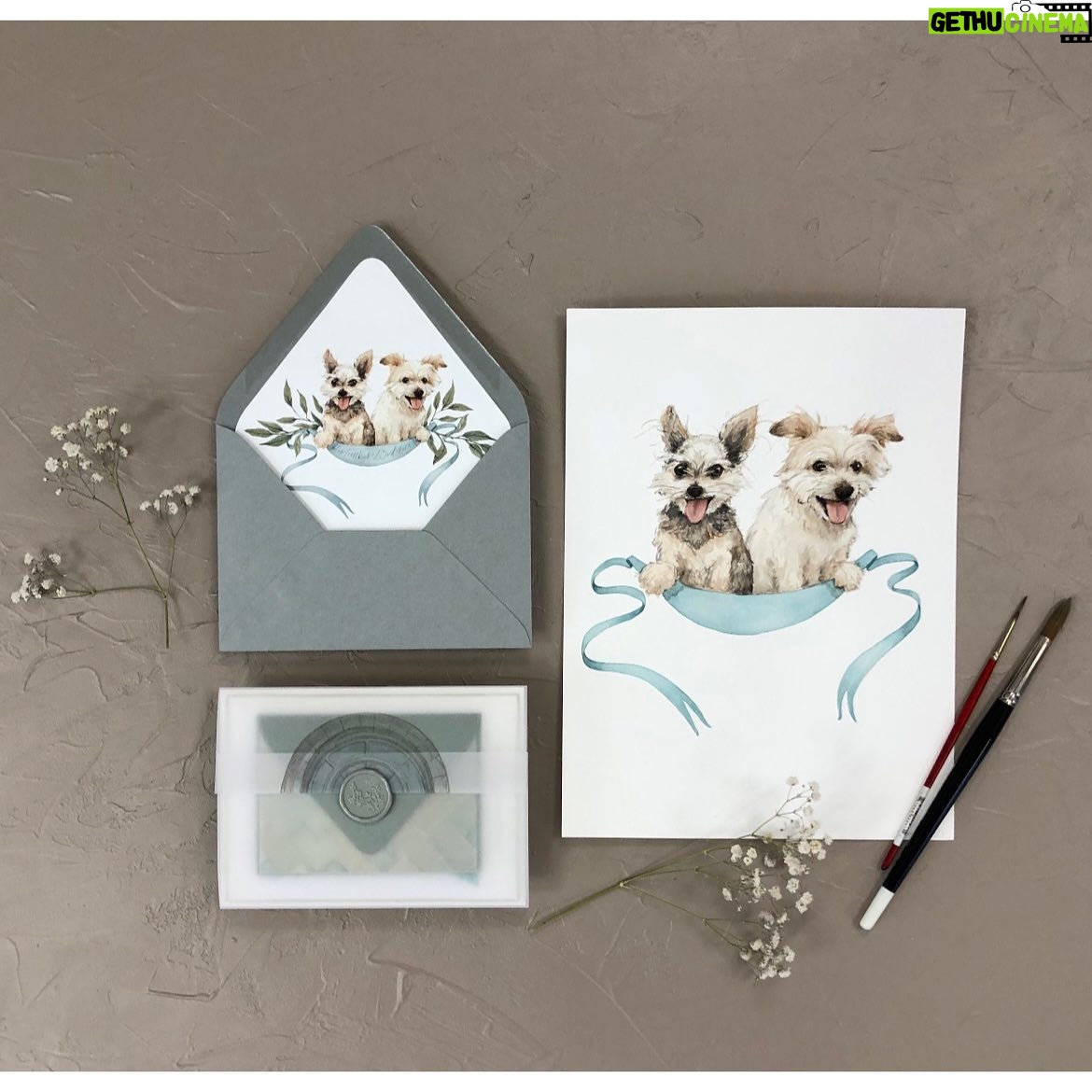 Molly Bernard Instagram - Working with Courtney at @spindlesdesignco was truly one of the highlights of planning our wedding. Our invitations were gorgeous, meaningful, and appropriately filled with love for our dogs. She’s amazing, and is PURE JOY in human form 💕✨