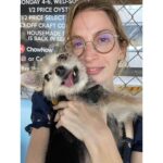 Molly Bernard Instagram - JOY OF MY WORLD! SON OF MY FLESH! STAND-OFFISH PROFESSOR AND CONTRIBUTOR TO THE NEW YORKER! BARKER EXTRAORDINAIRE! TOY OVERLORD AND ALMOND-EYED APEX PREDATOR; HAPPY EIGHTH BIRTHDAY TO MY PERMA-PUP AND LITERATE SON! Henry you have the keys to my heart, I love you.