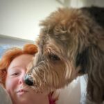 Molly C. Quinn Instagram - My dogfriend, Aster, watched Lovely, Dark, and Deep last night and he really needed to talk to me about it this morning. He thought it was visually stunning, emotionally moving, and way more scary than I let on! Lovely, Dark, and Deep is available however you VOD! & Pikachu because she’s my everythiiiiing
