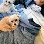Molly C. Quinn Instagram - Good times :) I hope you will all find moments of connection during this winter season!