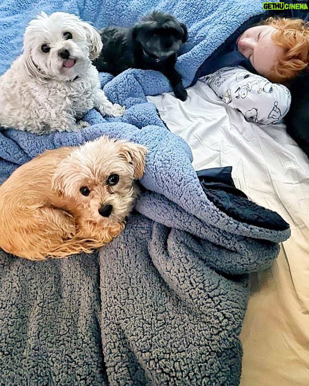 Molly C. Quinn Instagram - Good times :) I hope you will all find moments of connection during this winter season!