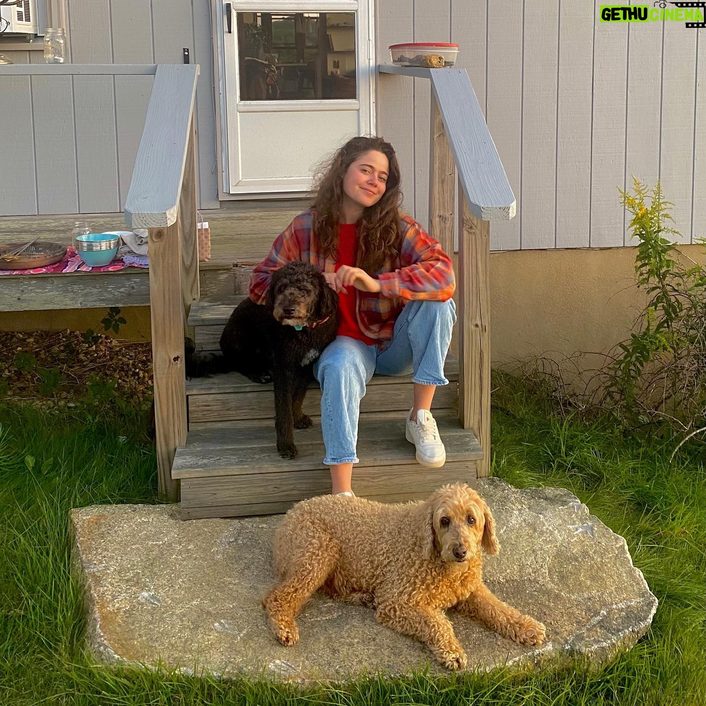 Molly Gordon - 24K Likes - Top Liked Instagram Posts and Photos