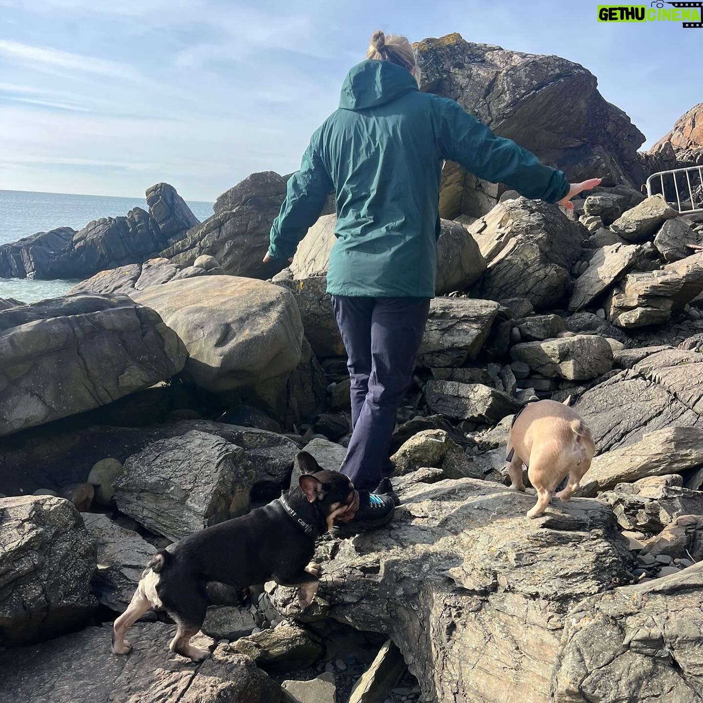 Molly McCann Instagram - Scotlands newest resident’s 🏴 💙🤍