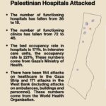 Mona Chalabi Instagram – These repeated attacks on medical facilities “should be investigated as war crimes” according to Human Rights Watch.