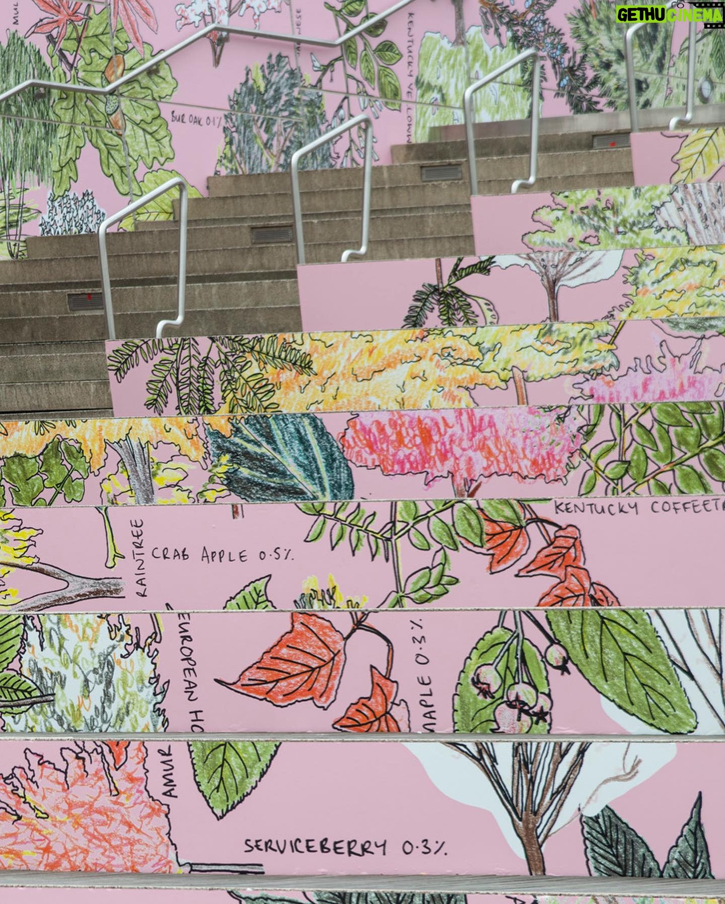 Mona Chalabi Instagram - It’s the last weekend to see this exhibition all about the power of trees (it held up so well throughout the changing seasons, even longer than we thought it would). More green, more pink, more art next year. I'm so grateful to the installation crew, the entire team @brooklynmuseum @who & @culturunners but especially @cch1qu1taa who was the best curator an artist could hope to work with.