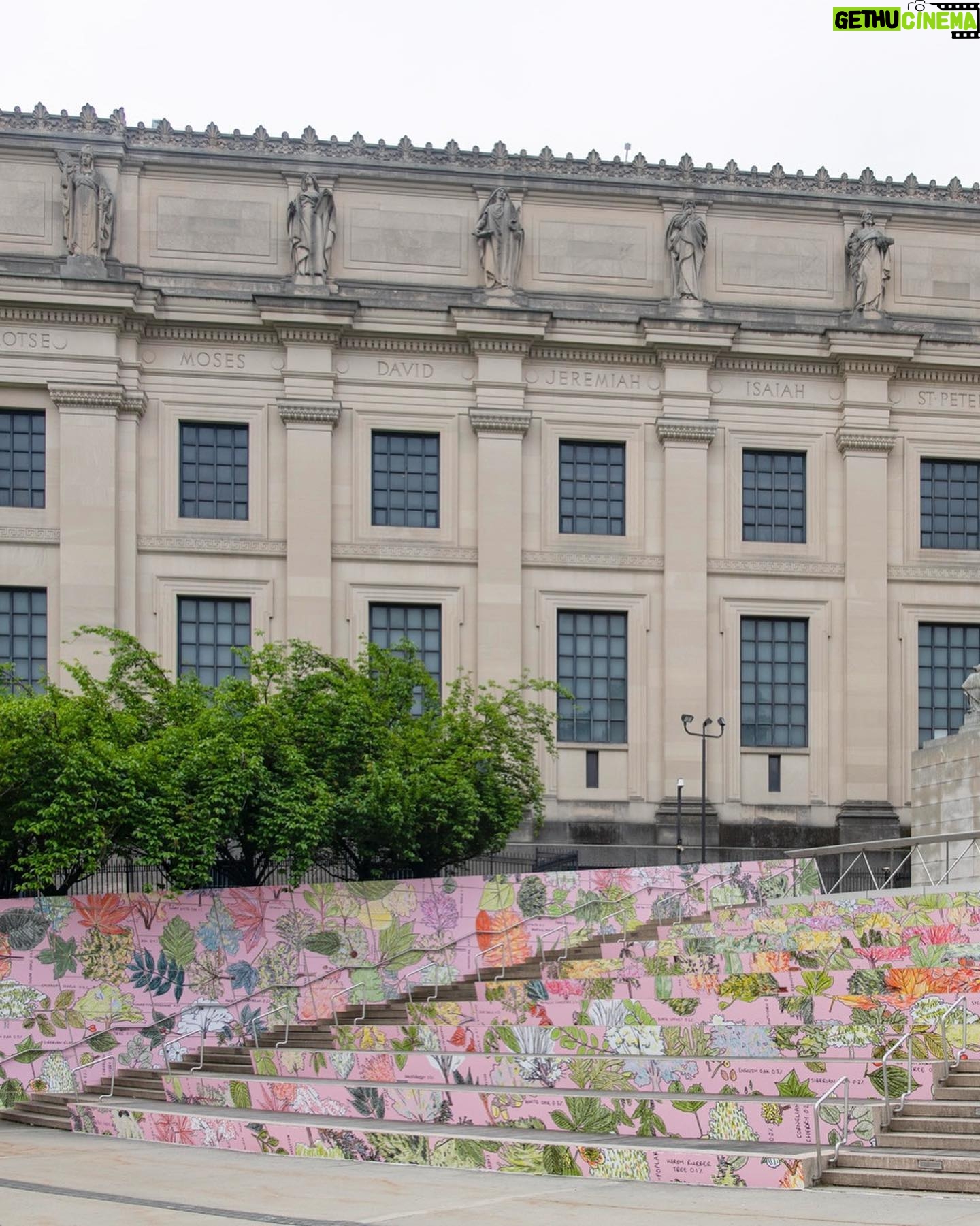 Mona Chalabi Instagram - It’s the last weekend to see this exhibition all about the power of trees (it held up so well throughout the changing seasons, even longer than we thought it would). More green, more pink, more art next year. I'm so grateful to the installation crew, the entire team @brooklynmuseum @who & @culturunners but especially @cch1qu1taa who was the best curator an artist could hope to work with.