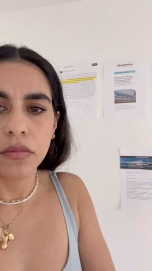 Mona Chalabi Instagram - These articles have been used to support Israel’s genocide in Gaza. They were written by biased sources.

Sources: Jeremy Scahill at the Intercept, James North at Mondoweiss, Corbin Bollies at The Daily Beast, the United Nations and @zei_squirrel on Twitter