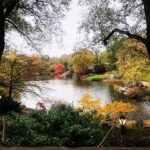 Monica Raymund Instagram - Fall for Central Park.