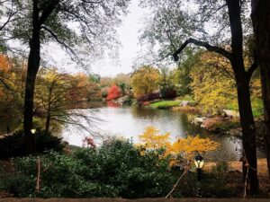 Monica Raymund Instagram - Fall for Central Park.