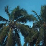 Monika Bhadoriya Instagram – #beachtime