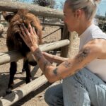 Montaine Mounet Instagram - J’ai trouvé ma vocation, je vais acheter une ferme 🌾 . . . . . . . #picoftheday #girl #love #animals #farm #farmlife #animalsaddict #loveanimals