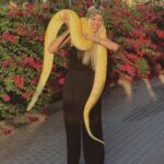 Montaine Mounet Instagram - Memories of the best day in my life 🐍🇦🇪@sb_belhasa