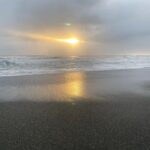 Morfydd Clark Instagram - Thankyou Aotearoa for everything you gave to me these last two years. Working with a New Zealand crew has been one of my life’s greatest pleasures. The imagination that they ignited in me, the kindness they bestowed on me and the countless gruelling hours that made finishing the season possible. I hope this move creates space (literally) for independent kiwi projects and that more stories can be told beautifully by the best creators in the world. My current recommendation would be “Cousins” which shared members of crew with our show.