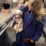 Morfydd Clark Instagram – Safety first 💝 @hemlockesprings
