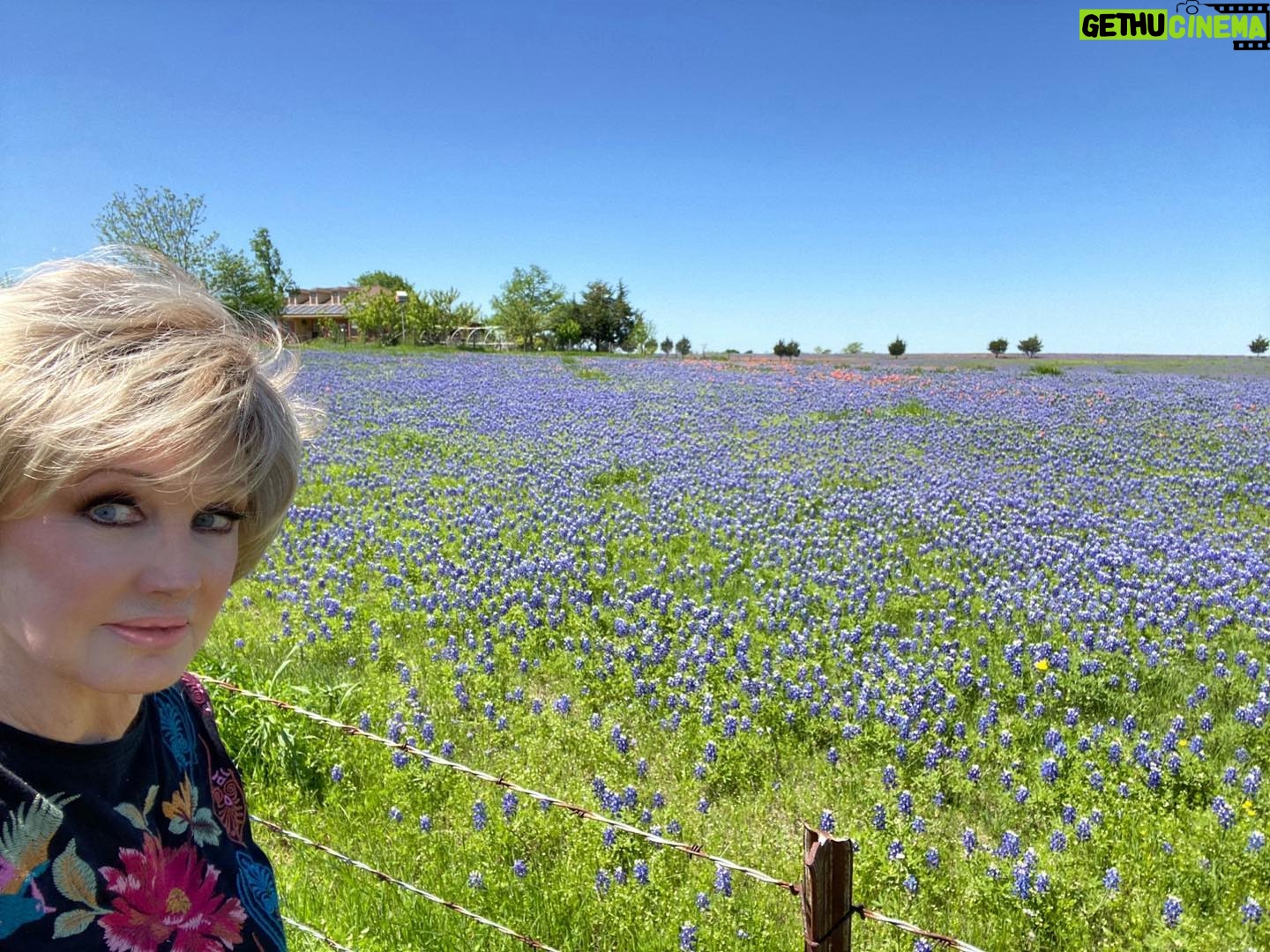 Morgan Fairchild - 1.3K Likes - #OnMyWalk to glorious #Bluebonnets! Our annual sister trek with @cathrynhartt to see Texas’ state flower in #EnnisTexas! #TheBluebonnetCapitalOfTheWorld Great year for gorgeous flowers! #BeKind Sending Love To You All💗🌷💗🎉💗🪻💗🦋💗🌷💗🎉💗🪻💗🦋💗🌷💗🎉💗🪻💗🦋💗🌷💗🎉💗🪻💗🦋💗