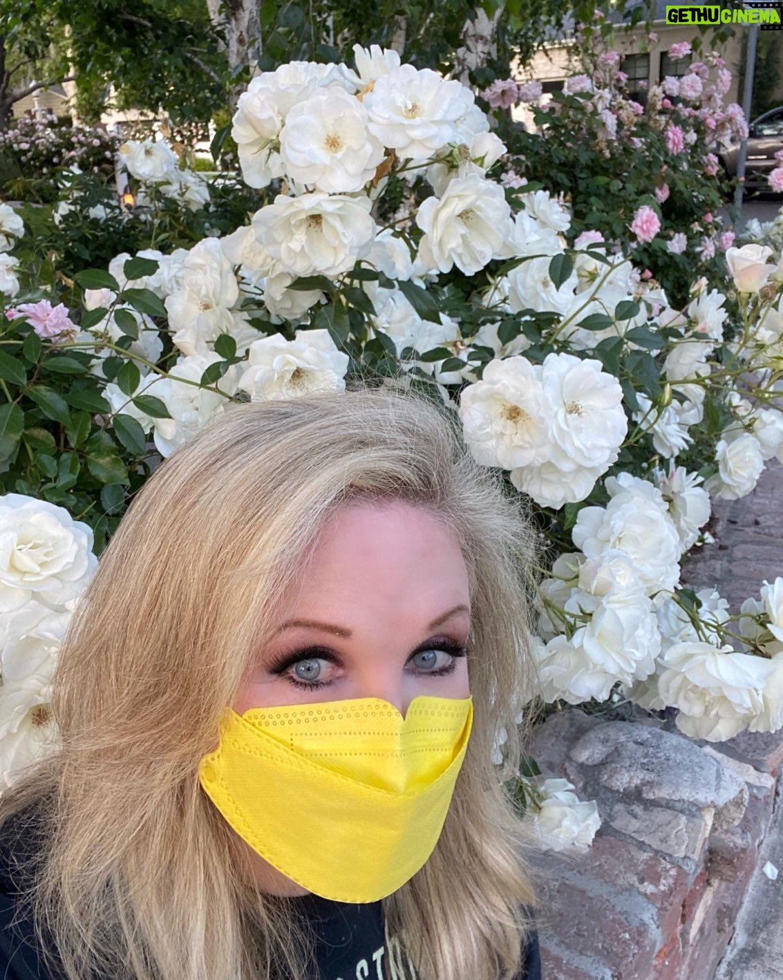 Morgan Fairchild - 694 Likes - #OnMyWalk to lovely hedges of #Roses! Almost like a snowdrift! #HappySaturday Have a great weekend! #BeKind #ReachOut #MaskUp Sending Love To You All💗🌷💗🎉💗🥳💗🦋💗🌷💗🎉💗🥳💗🦋💗🌷💗🎉💗🥳💗🦋