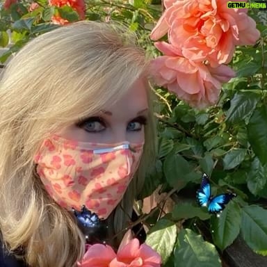 Morgan Fairchild - 693 Likes - #OnMyWalk to huge, gorgeous #Roses! So lovely on a late spring evening! Have a wonderful #MemorialDay weekend & please remember to honor those who gave their lives for us & the ideals upon which #America was founded. Let us be worthy of their sacrifice. #BeKind Sending Love To You All💗🌷💗🎉💗🦋💗🌷💗🎉💗🦋💗🌷💗🎉💗🦋💗🌷💗🎉🦋🌷💗🎉💗🦋