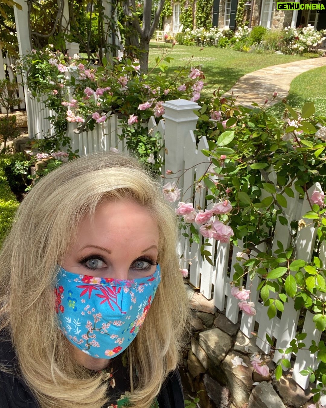 Morgan Fairchild - 686 Likes - #OnMyWalk to picket fences of #PinkRoses! I love the way these spill over the fence! Love my neighbors! #HappyWeekend #BeKind #ReachOut #MaskUp #CovidIsntOver Sending Love To You All💗🌷💗🎉💗🥳💗🦋💗🌸💗🌷💗🎉💗🥳💗🦋💗🌸💗🌷💗🎉💗🥳💗🦋💗🌸💗🌷💗🎉🥳💗