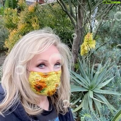 Morgan Fairchild - 1.3K Likes - #OnMyWalk -probably my last walk before the full storm hits - so I took extra pics for the week. Thanks to all of you for my birthday wishes!! Tough one, 1st since I lost Mark. Your kindness is much appreciated! #BeKind Sending Love To You All💗🎉💗🌷💗🎂💗🥳💗🎉💗🌷💗🎂💗🥳💗🎉💗🌷💗🎂💗🥳💗🎉💗
