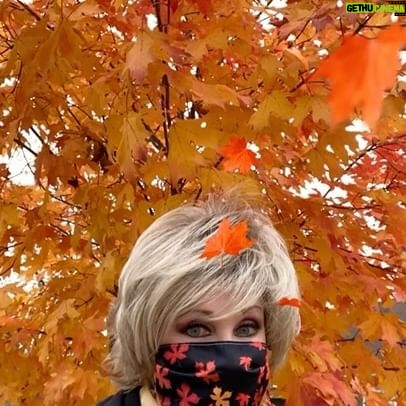 Morgan Fairchild - 730 Likes - #OnMyWalk to #Autumn in #KansasCity. Beautiful fall with some colors I don’t see in #LA! So glad it’s warm enough to walk! #HappyFall #SeasonColors #Leaves #AutumnColors #BeKind #ReachOut Sending Love To You All🧡🍁💛🍂🧡🐿️🧡🍁💛🍂🧡🐿️🧡🍁💛🍂🧡🐿️🧡🍁💛🍂🧡🍁🧡💛🍂🧡🐿️🧡🍁💛🍂🧡