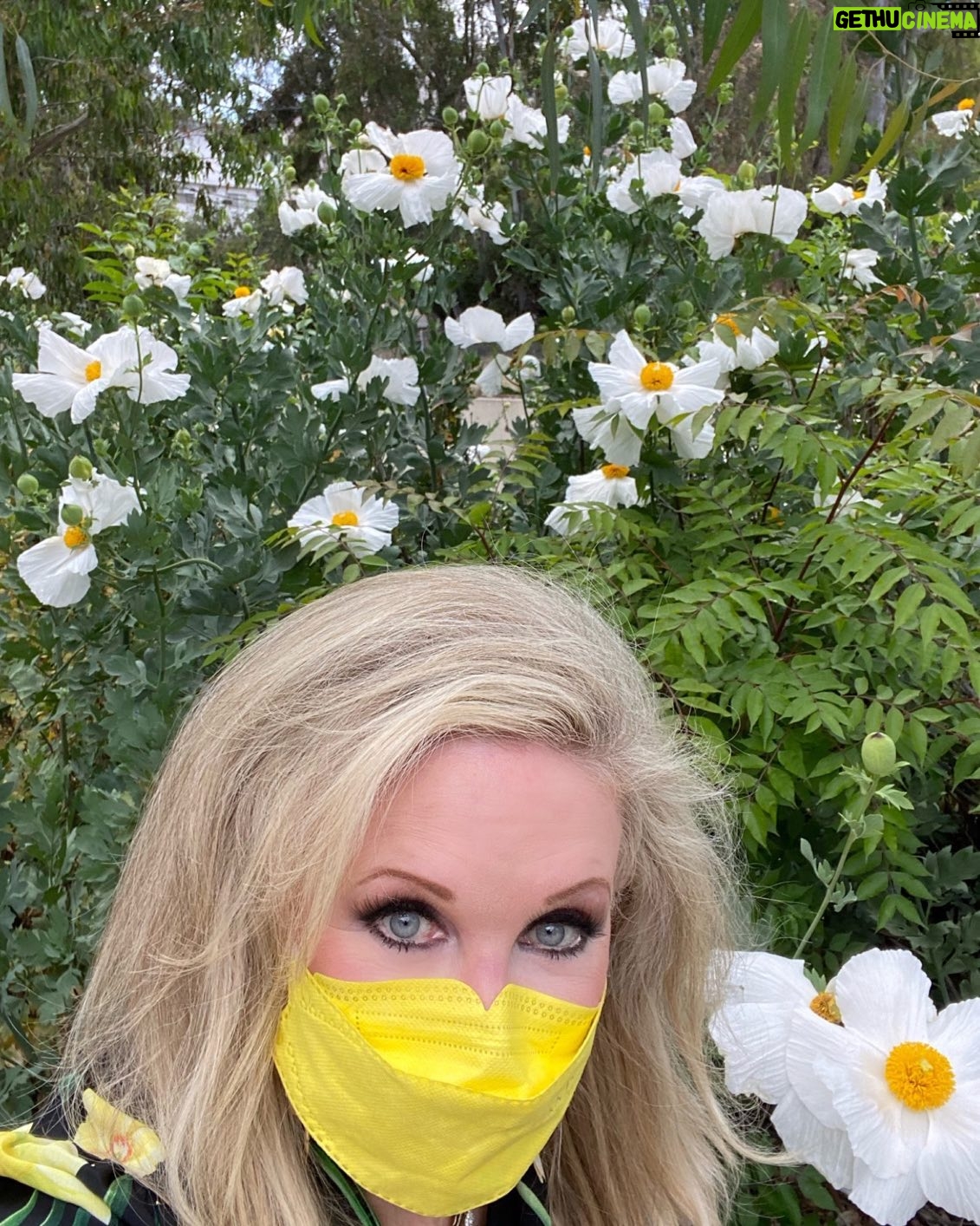Morgan Fairchild - 840 Likes - #OnMyWalk to these happy, dancing flowers. I don’t know what they are but I fell in love with them years ago in Carmel! I don’t see them often in LA. Have a great weekend!! #BeKind #MaskUp #DanceOften Sending Love To You All💗🌷💗🎉💗🦋💗🥳💗🐣💗🌷💗🎉💗🦋💗🥳💗🐣💗🌷💗🎉💗🦋💗🥳💗🐣💗🌷💗🎉💗🦋💗
