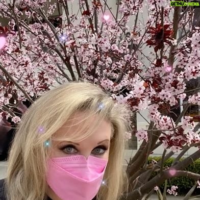 Morgan Fairchild - 813 Likes - #OnMyWalk to blooming trees everywhere! Love this!! #SpringIsHere #BeKind #SpringIsInTheAir #Flowers #CovidIsntOver #ReachOut Sending Love To You All💗🌷💗🎉💗🌸💗🪻💗🌷💗🎉💗🌸💗🪻💗🌷💗🎉💗🌸💗🪻💗🌷💗🎉💗🌸💗🪻💗🌷💗🎉💗