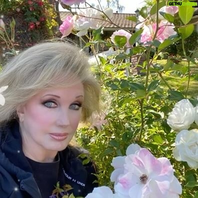 Morgan Fairchild - 793 Likes - #OnMyWalk to an abundant cascade of #Roses! It was windy but I managed to keep most of the roses in frame! Had a lovely chat with owner @laura_woods123 & told her how much I look forward to her picket fence with lovely flowers each year! #BeKind #ReachOut Sending Love To You All💗🌷💗🎉💗🥰💗🦋💗🌷💗🎉💗🥰💗🦋💗🌷💗🎉💗🥰💗🦋💗🌷💗🎉💗🥰💗🦋💗🌷💗🎉💗🥰💗🦋💗🌷💗🎉💗🥰💗🦋💗