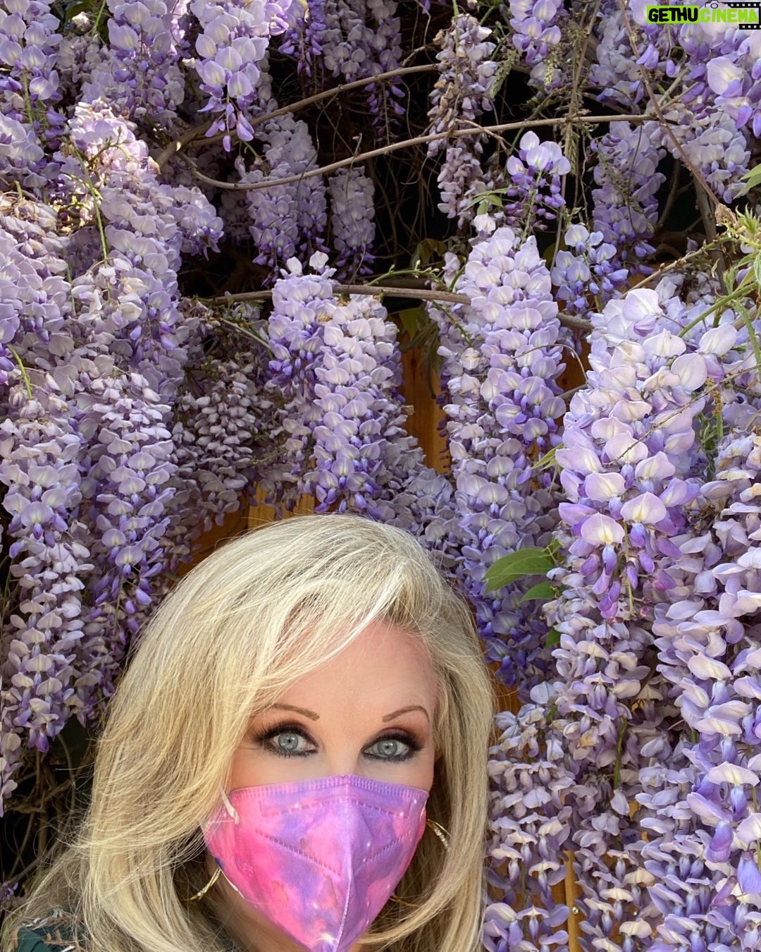 Morgan Fairchild - 832 Likes - #On@yWalk to a fabulous cascade of #Wisteria! My kind neighbor, Ken & his friend Javi & dog Keanu, helped me get this shot. Thanks Ken! Let me know you saw this!#BeKind #ReachOut #MaskUp Sending Love To You All💗🌷💜🥳💗🎉💜🦋💗🌷💜🥳💗🎉💜🦋💗🌷💜🥳💗🎉💜🦋💗🌷💜🥳💗🎉💜