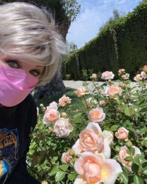 Morgan Fairchild Instagram - #OnMyWalk to my very favorite gorgeous neighborhood #Roses! I wait for these to bloom each year! They must be David Austins. #SpringIsHere #Smile #BeKind #ReachOut Sending Love To You All💗🌷💗🎉💗🌸💗🪻💗🌹💗🌷💗🎉💗🌸💗🪻💗🌹💗🌷💗🎉🌸💗🪻💗🌹💗🌷💗🎉💗🌸💗🪻💗🌹💗