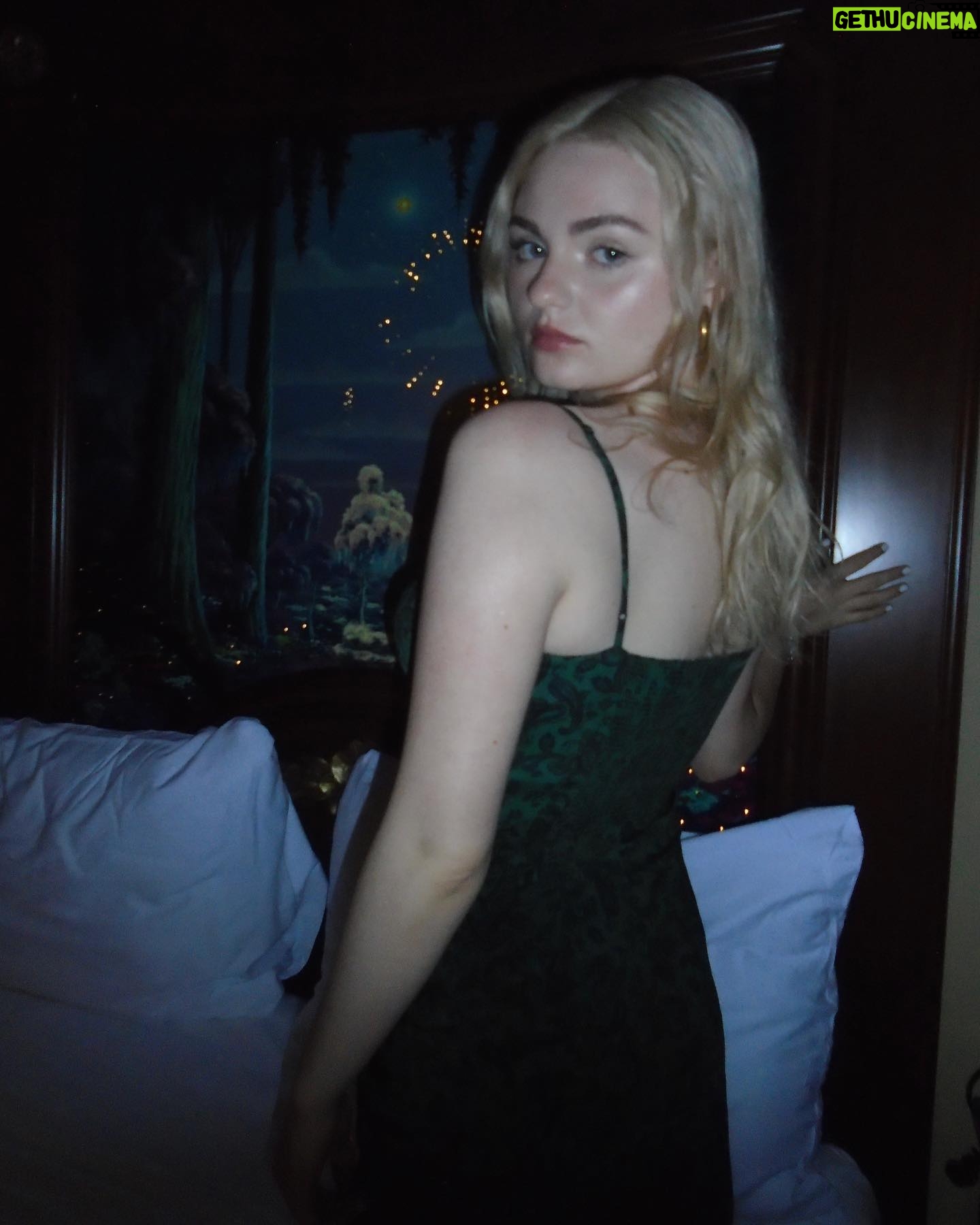 Morgan Lily - 19.9K Likes - 🧚♀️✨✨