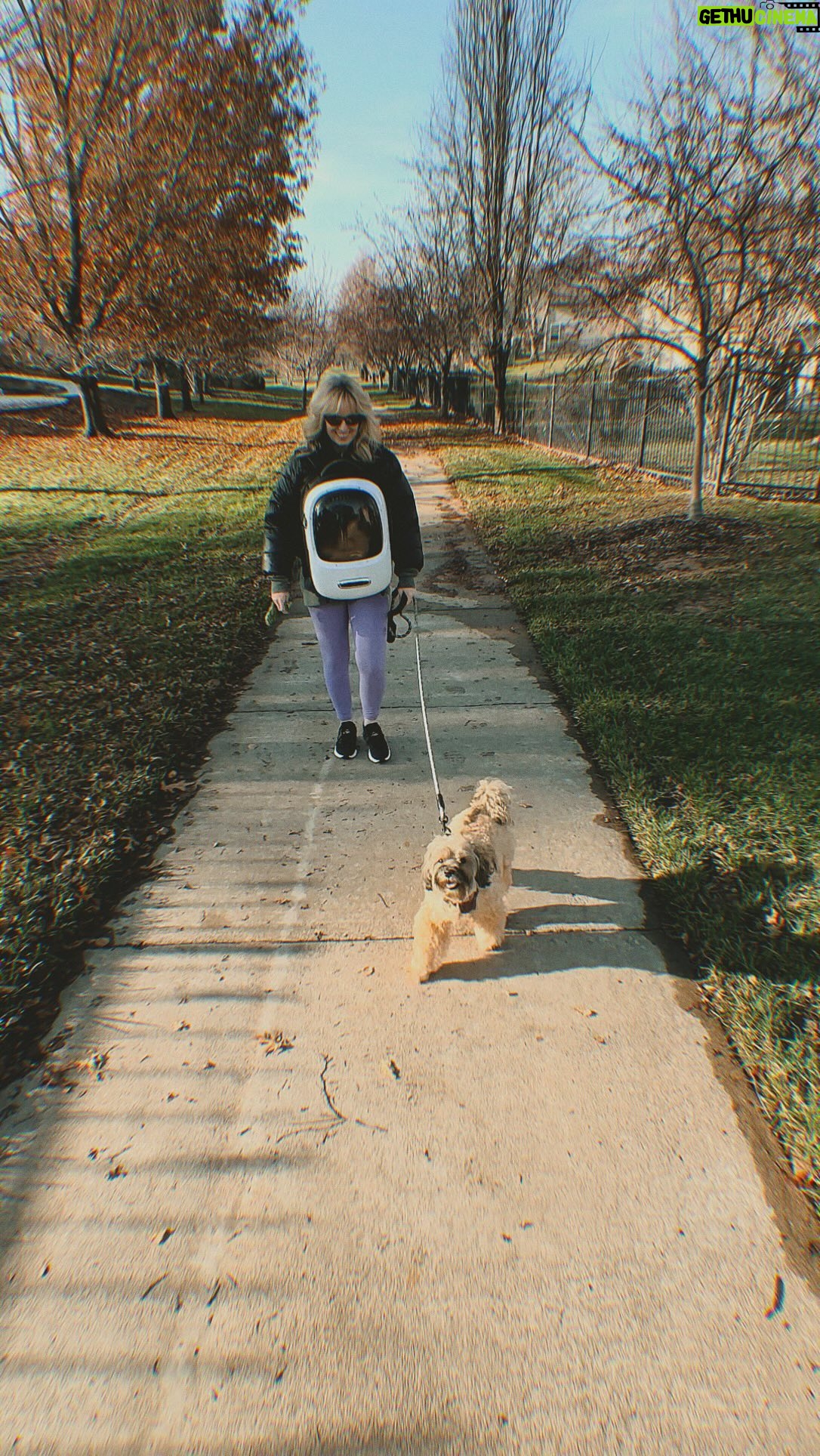 Morgan Huelsman Instagram - yes, that is a cat in a pack… space cat if you will.