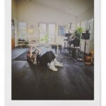 Msaki Instagram - Easily one of my favourite LA hangs . I like catching songs with you Simon :) #songcatcherchronichles #songwriter #sunnydays #bonobo #msaki #studio