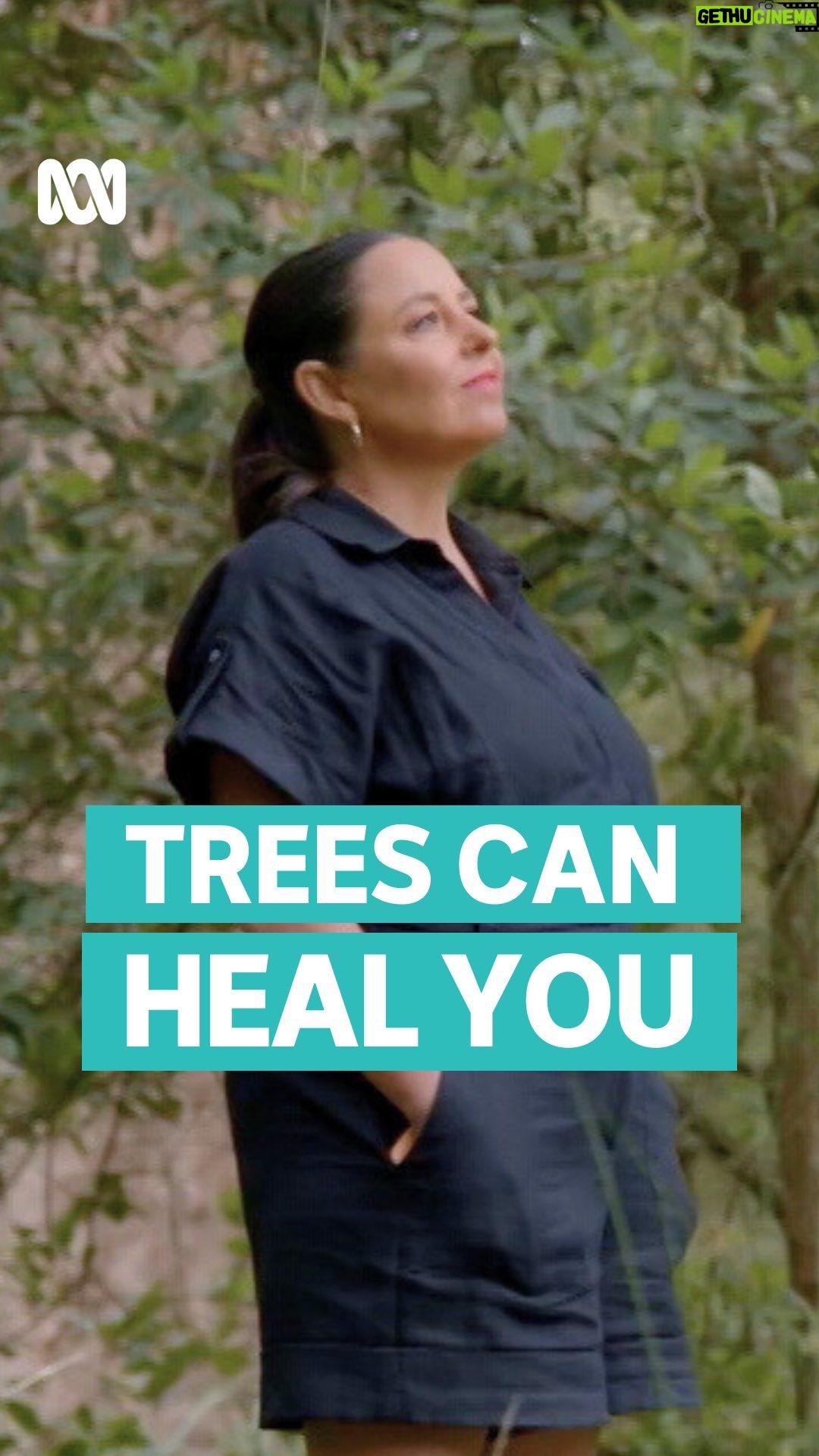 Myf Warhurst - 6.9K Likes - The therapy you didnāt know you needed.
Secret Science with @myfwarhurst ā Stream now on ABC iview.
#SecretScience #Nature #ForestBathing