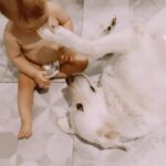 Núria Madruga Instagram - O Amor. É sempre o Amor que nos salva. 🤍