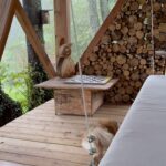 Nadège Lacroix Instagram – Voilà la jolie cabane dans les arbres 🌲 🌳 où nous avons dormi ! 🛌 @lescabanesdusaleve 

C est un endroit chaleureux qui réveille votre âme d enfants ! On a tous rêver de dormir dans une cabane dans les arbres et bien c est chose faite ! Et c était très agréable ! La raclette et le jaccuzzi étaient vraiment fun ! 

Tout était parfait ! Prochaine étape le lancer de haches 🪓 

Hâte de découvrir ça ! 😅😊

#cabanesdusaleves #cabanedanslesarbres #amedenfant #joie #paix #amour #fareniente #happiness #cabane #saleve