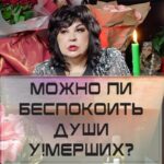 Nadezhda Shevchenko Instagram -