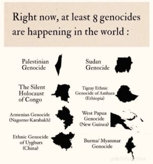 Nadia Aqilah Instagram - Citizens of the world, its 2024. Together we can do more because we will never forget. Get educated 👌🏾

#ceasefirenow🇵🇸 #westpapuafreedom #sudanmassacre #congoisbleeding #armaniangenocide #uyghurlivesmatter #burmamyanmar