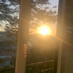 Nadia Hilker Instagram - 🌞☀️💛